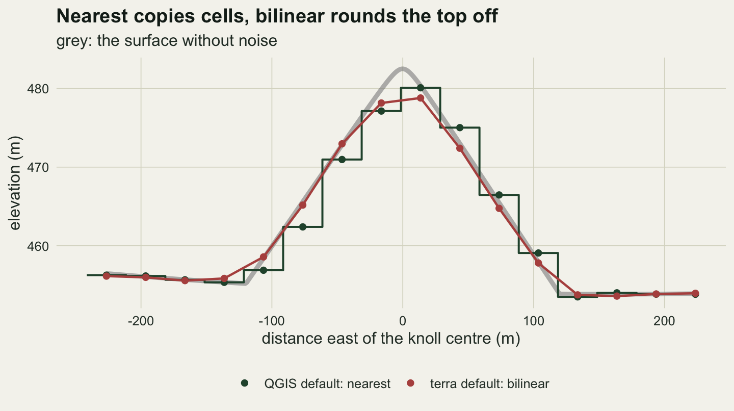 An elevation profile in metres, from about 454 to 482, against distance east of the knoll centre from about minus 240 to plus 220 metres. A thick grey line, the noise-free surface, is nearly flat near 455 on both sides and rises to a sharp peak of about 482 at zero. Dark green points joined by a stepped line, QGIS default: nearest, follow it in flat treads 30 metres wide, with the highest tread at about 480 just east of the centre. Rust points joined by a straight line, terra default: bilinear, follow the grey line closely on the flanks and cut the peak off at about 479.