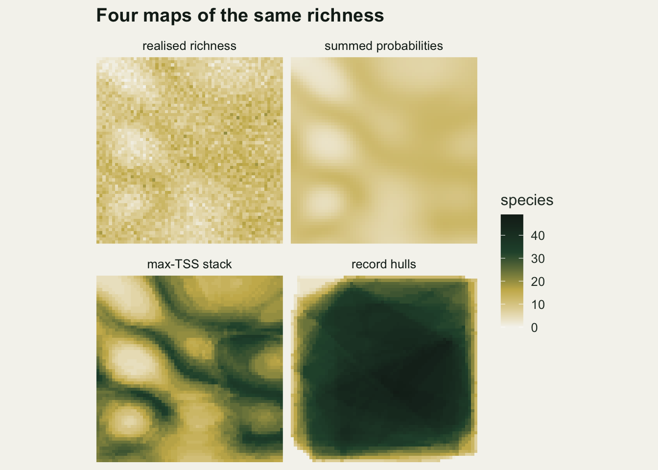 Four square maps of the same 60 by 60 grid on warm off-white paper, shaded from off-white for no species through gold to dark green for more than 40 species on one shared scale. The top left map, realised richness, is a speckled pale gold texture. The top right map, summed probabilities, shows the same pattern as a smooth pale gold surface with soft lighter patches. The bottom left map, max-TSS stack, is much darker, with sharp dark green bands winding between pale islands. The bottom right map, record hulls, is dark green over almost the whole grid, with straight polygon edges visible and a thin gold rim along the border.