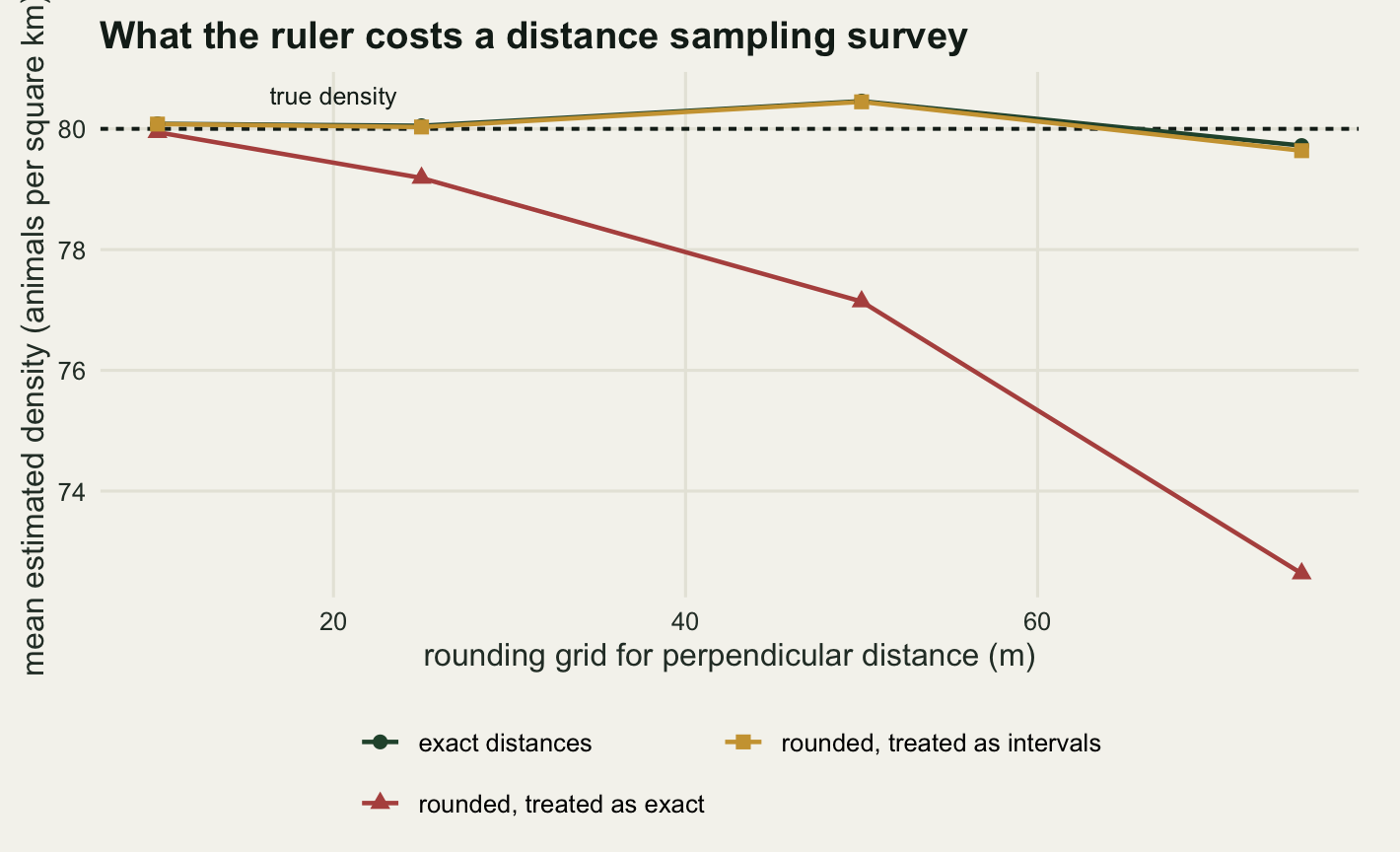 A line chart on warm off-white paper with rounding grid in metres on the horizontal axis from ten to seventy five, and mean estimated density in animals per square kilometre on the vertical axis from about seventy three to eighty one. A horizontal dashed line marks the true density of eighty. A gold line with square markers for the interval-censored fit runs along the dashed line across the whole panel, with a dark green line for the exact-distance fit hidden underneath it almost everywhere. A red line with triangles for rounded distances treated as exact starts on the dashed line at ten metres and falls away steadily, reaching about seventy three at seventy five metres.