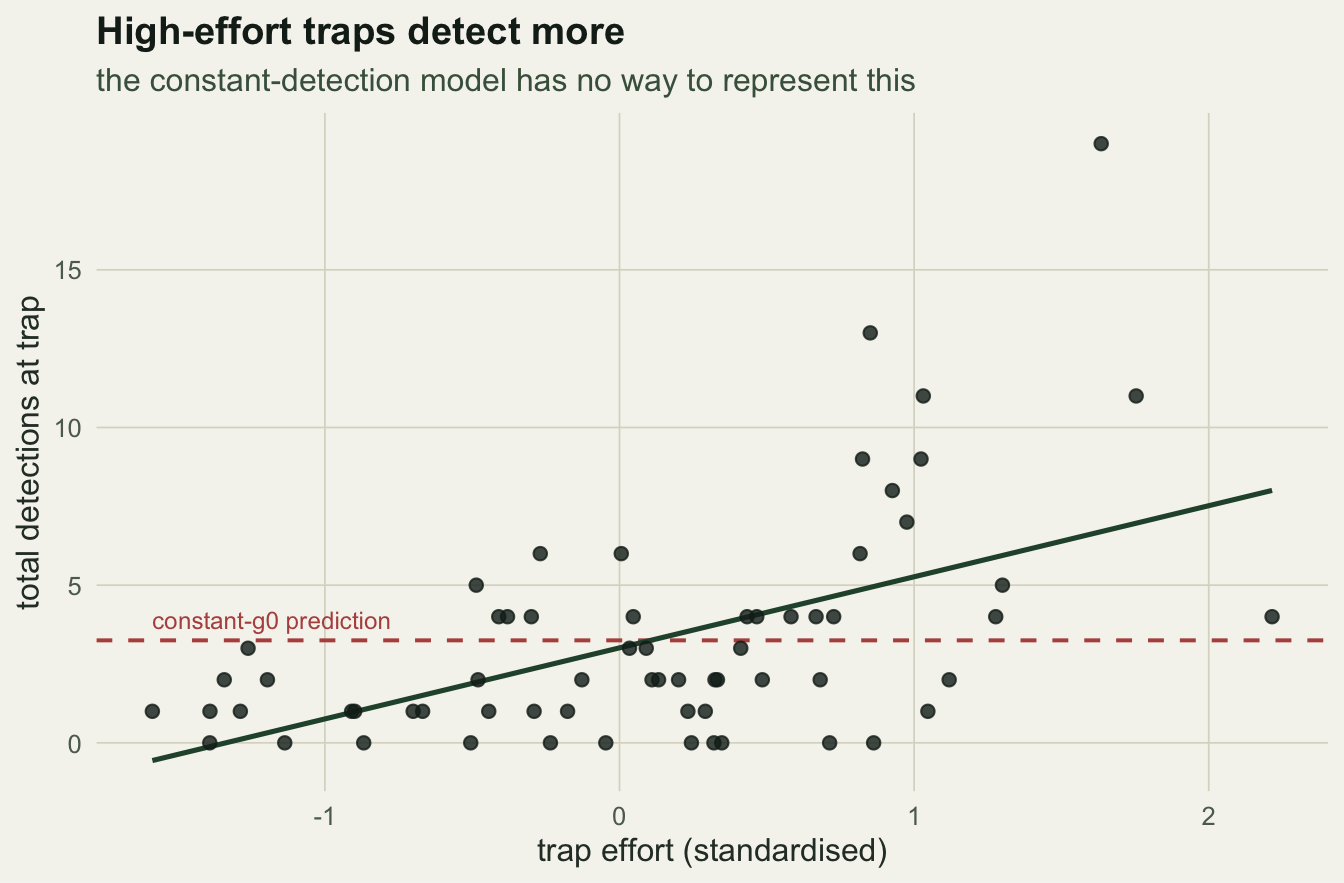 A scatter of trap total detections against standardised effort with a clear upward linear trend line, and a dashed horizontal line at the overall mean showing the flat prediction of the constant-detection model.