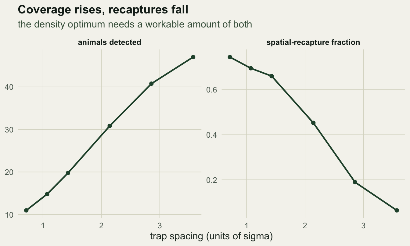 Two panels against trap spacing in sigma units: animals detected rises from about ten to fifty, while the spatial-recapture fraction falls from about three-quarters to near zero.
