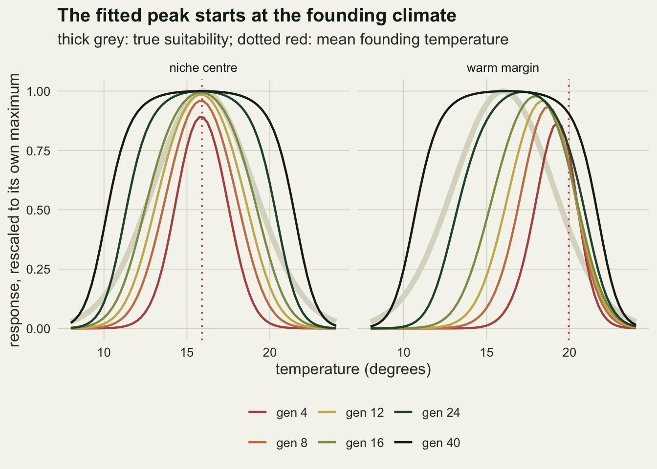 Two panels side by side on warm off-white paper, temperature on the horizontal axis from eight to twenty-four degrees and a rescaled response from zero to one on the vertical axis. A thick pale grey curve peaking at sixteen degrees is the truth in both panels. The left panel is the niche-centre introduction: all six coloured curves peak within a fraction of a degree of sixteen, on a dotted red vertical line, and they widen from the narrow earliest-stage curve to a last-stage curve broader than the truth. The right panel is the warm-margin introduction: the six peaks stand in a row from about nineteen degrees at the earliest stage down to about sixteen at the last, with the dotted red founding line at twenty degrees, to the right of every peak.