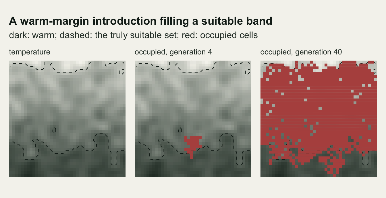 Three square map panels in a row on warm off-white paper. All three shade temperature from dark at the bottom, where it is warm, to pale at the top, where it is cool, and a dashed line crossing the lower third and another near the top outline the truly suitable band between them. The middle panel, headed generation four, adds a small red patch of occupied cells sitting just inside the lower dashed line, at the warm edge of the band. The right panel, headed generation forty, is red from the lower dashed line up to the top of the panel, covering the cool strip beyond the upper dashed line as well, with scattered red patches below the lower line.