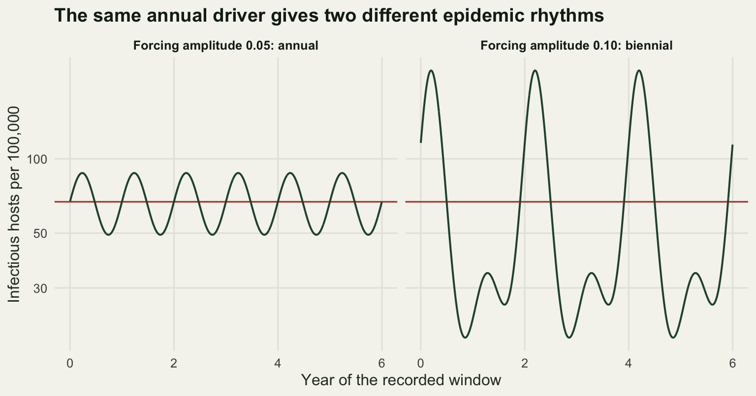 Two panels of prevalence on a logarithmic axis over six years. In the left panel at a forcing amplitude of five per cent the epidemic peaks are all the same height. In the right panel at ten per cent the peaks alternate between a tall one and one about half as tall, and the troughs between them are much deeper.