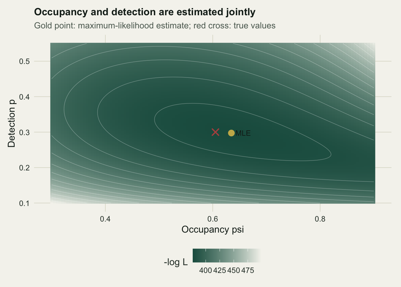 Filled contour surface over occupancy and detection probability with a single minimum, marked by a point near a cross for the true values.