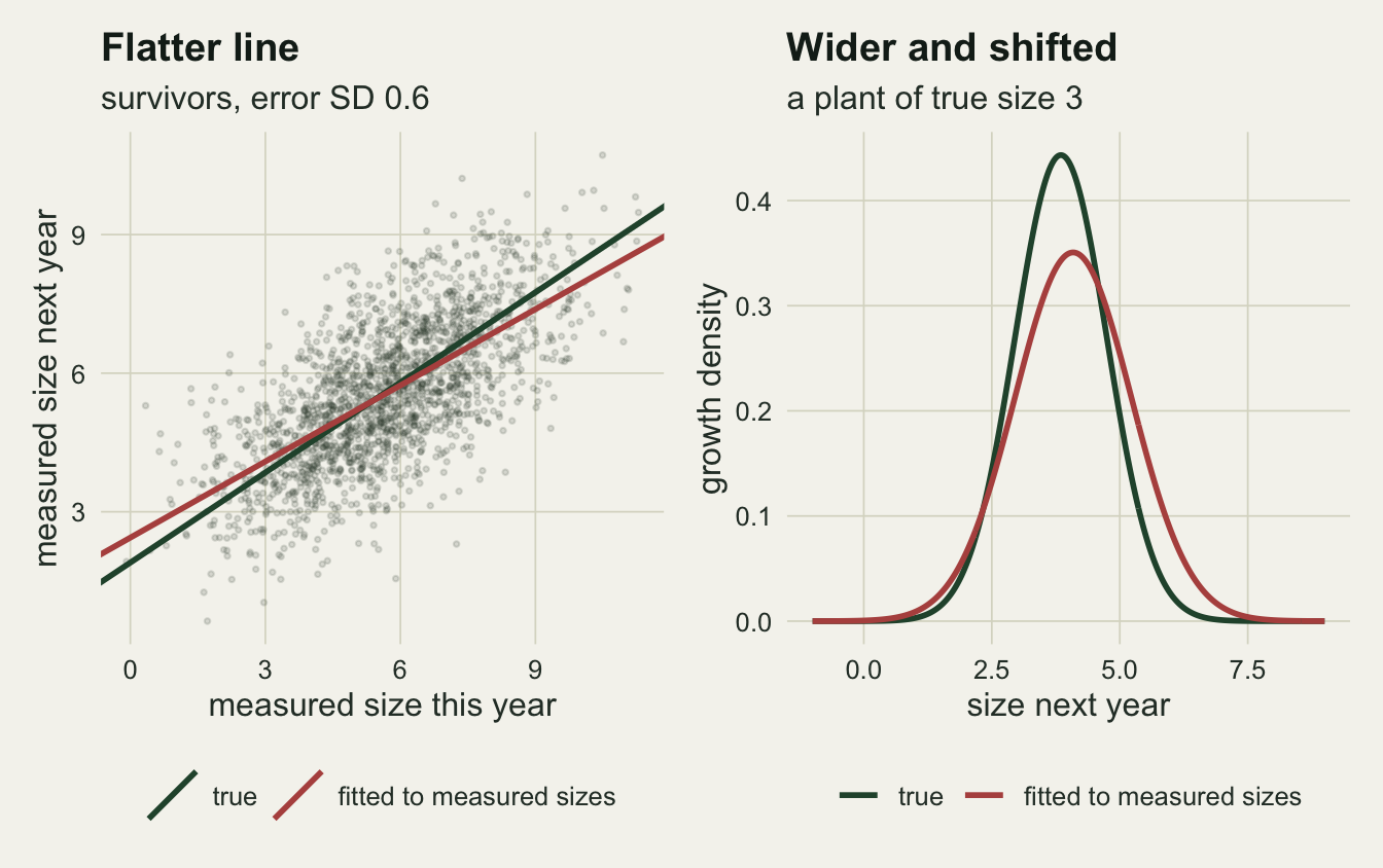 Two panels on warm off-white paper. The left panel is a grey scatter of about nineteen hundred survivors, measured size next year against measured size this year, with a dark green true growth line and a red fitted line that is flatter, above the green line for small plants and below it for large ones, crossing near size 5.4. The right panel shows two bell-shaped growth densities for a plant of true size 3: a taller, narrower dark green curve peaking near 3.9 and a lower, wider red curve peaking a little to the right near 4.1, with more mass beyond size 5.