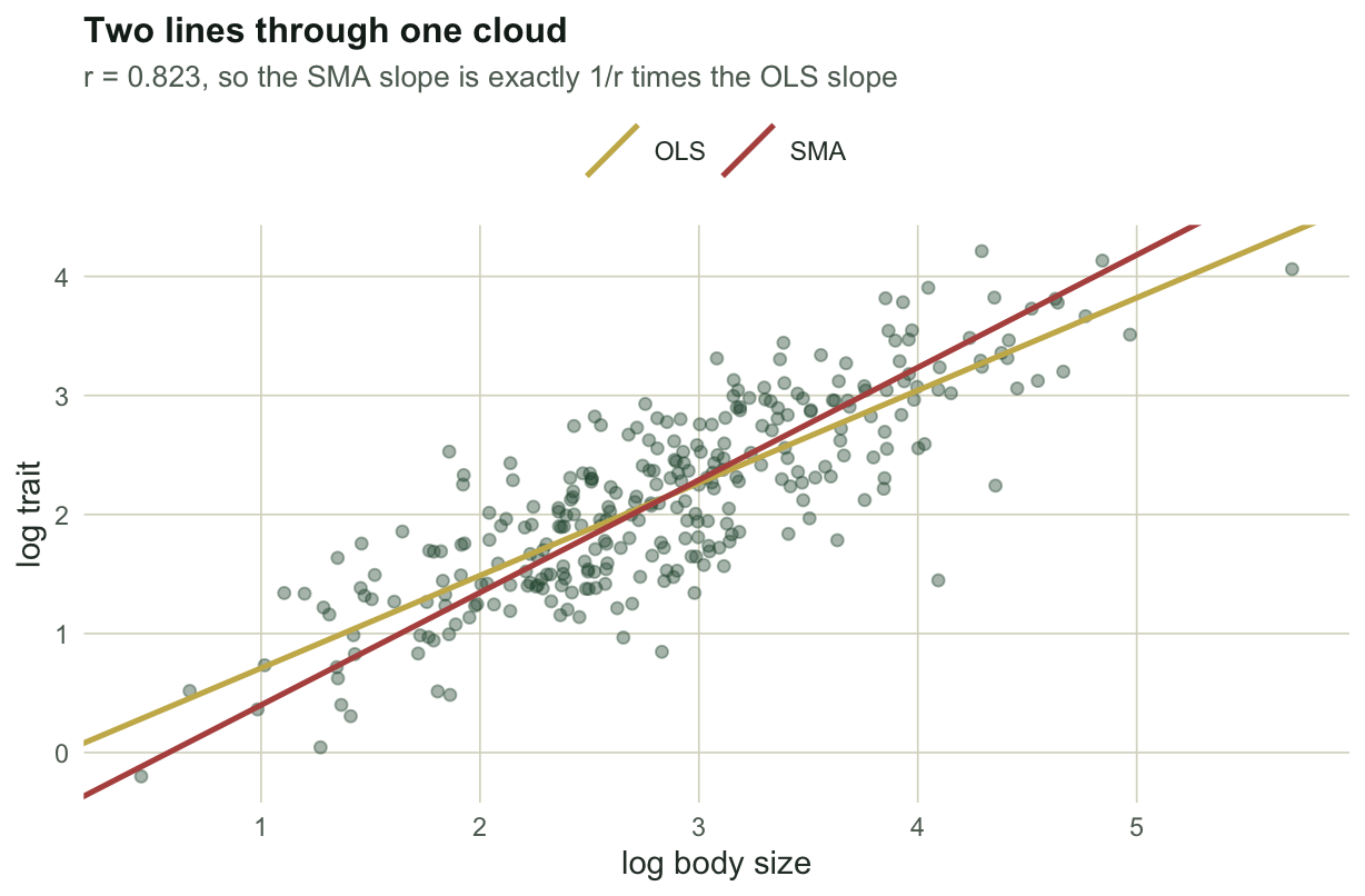 Scatter of logged points with two straight lines crossing at the centre of the cloud. The steeper line is labelled SMA and the shallower one OLS.