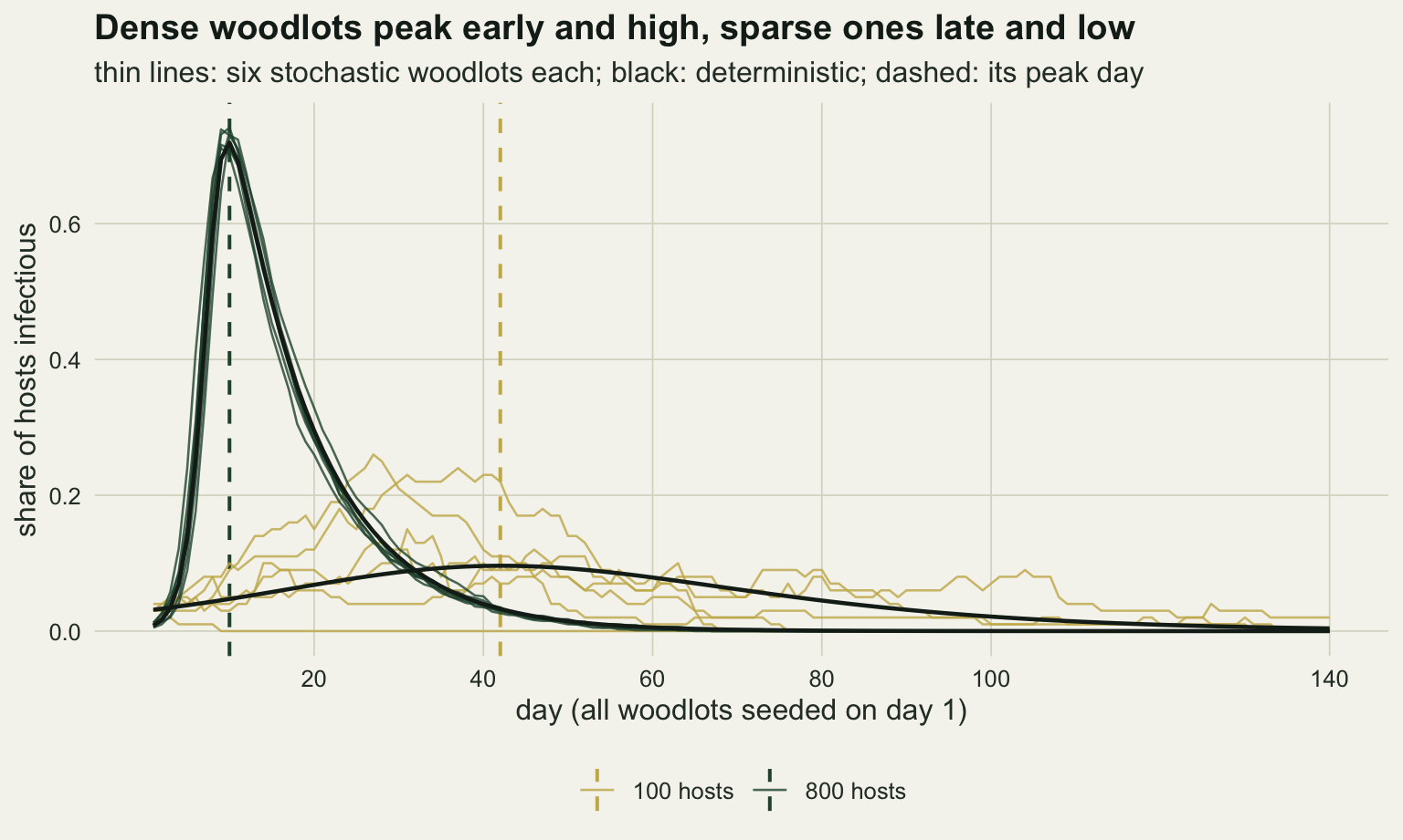 A line chart on warm off-white paper of the share of hosts infectious against day, from 1 to 140, with the survey days 20, 40, 60, 80, 100 and 140 as axis breaks. Six dark green stochastic curves for woodlots of 800 hosts rise steeply to about 0.72 near day 10 and fall to near zero by day 50, closely following a black deterministic curve, with a dark green dashed vertical line at its peak on day 10. Six gold curves for woodlots of 100 hosts wander between zero and about 0.26, one dying out within the first ten days; their black deterministic curve rises slowly to about 0.1 at day 42, marked by a gold dashed vertical line, and sinks slowly towards zero by day 140. The two black curves cross a little after day 30.