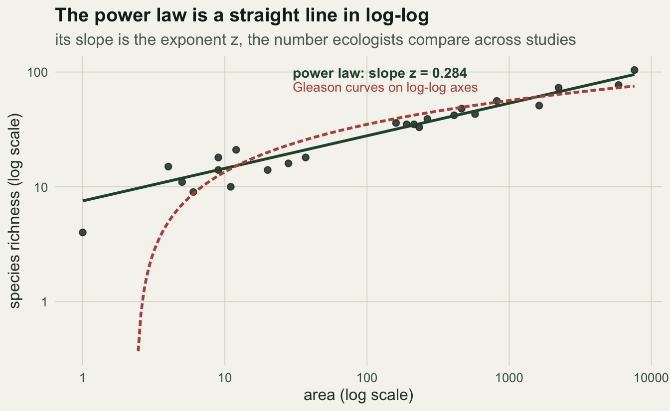 A log-log scatter of richness against area. A straight solid line is the power fit with slope 0.284; a dashed line curving upward then flattening is the logarithmic fit.
