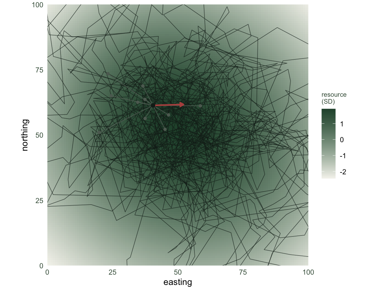 A green-shaded resource surface with a thin dark track winding across it. Near a bright patch, a red arrow marks the step the animal took and ten grey line segments show alternative steps radiating from the same point.