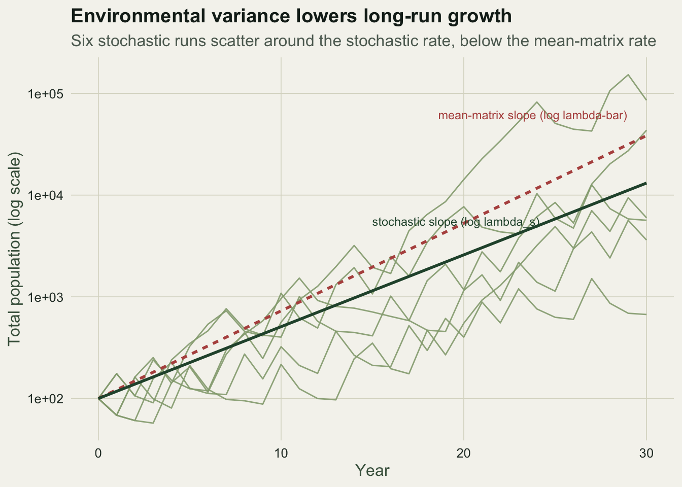 Log-scale population trajectories: six wandering sage lines flanked by a steeper dashed red line for the mean-matrix rate and a shallower solid forest line for the stochastic rate.