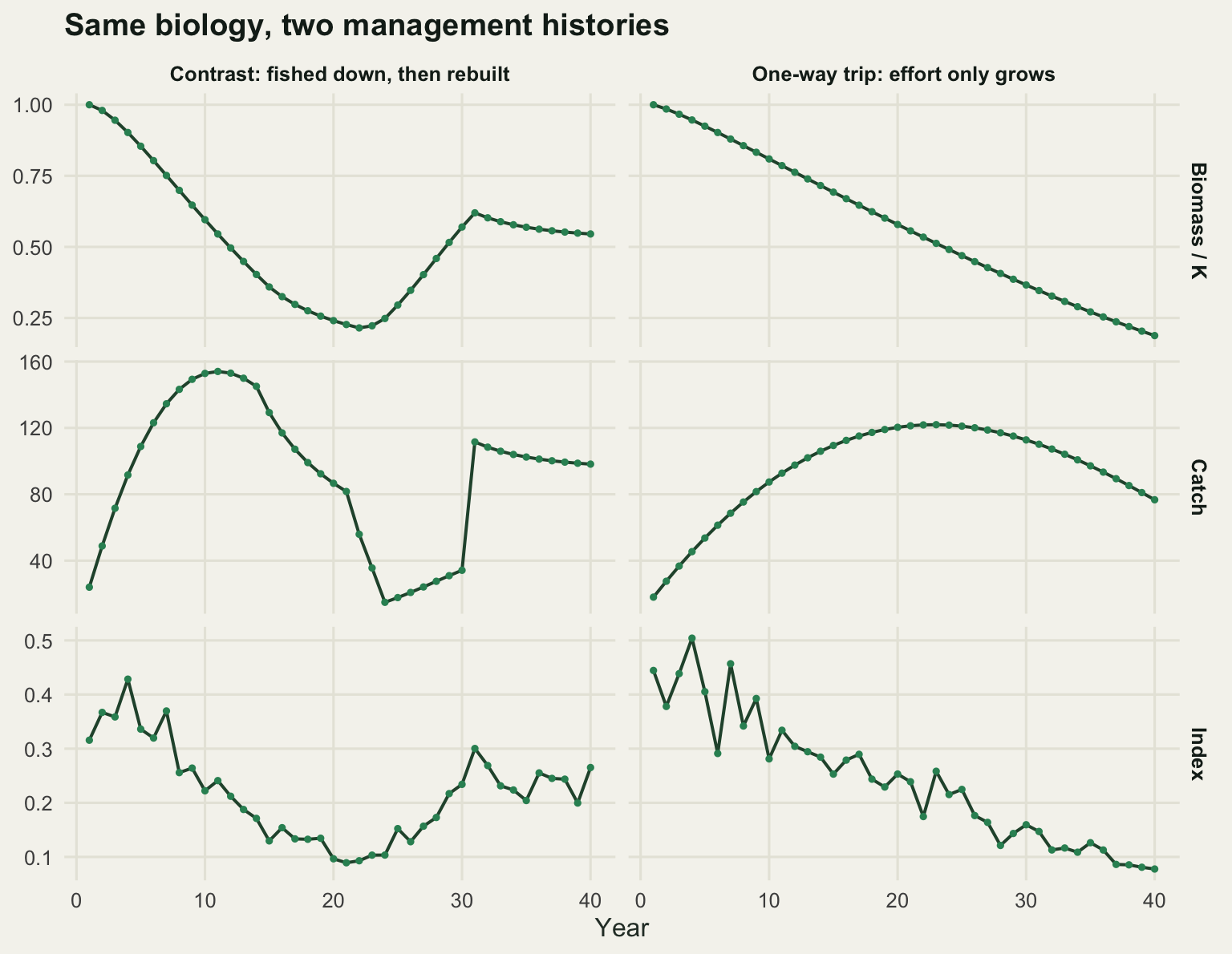 Six panels in two columns. The left column shows a stock falling to a fifth of carrying capacity and recovering, with catch rising then cut, and an index tracking biomass. The right column shows biomass declining smoothly across all forty years while catch rises and then falls.