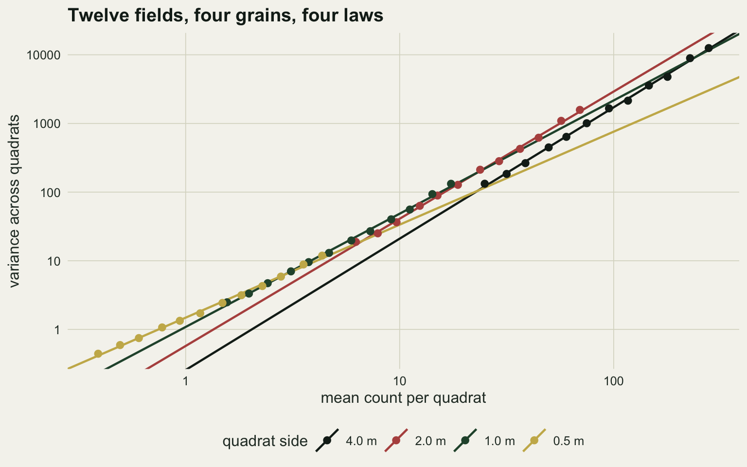 Variance against mean count per quadrat on log axes, the horizontal covering about 0.3 to 400 with ticks at 1, 10 and 100, the vertical from below one to about twenty thousand. Four straight lines rise from the lower left to the upper right, one per quadrat size, and they fan out rather than falling on one line, though the dark green one metre and rust two metre lines run close together through the middle of the range. The lower left corner cuts them off at different places: only the gold half metre line reaches the left hand edge, and the dark green one metre, rust two metre and black four metre lines enter the panel progressively further to the right in that order. The black four metre line is the steepest and the gold half metre line the shallowest, and at the right hand edge the rust two metre line has climbed above the other three. Twelve filled points sit on each line, over only the part of the range that quadrat size produced, and the four series are staggered from left to right in order of increasing quadrat size, the gold points at the low end and the black points at the high end, so every line is drawn well past the points that fitted it.