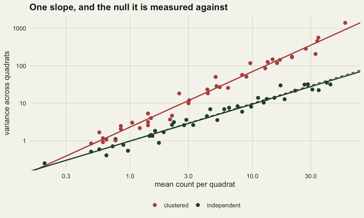 Variance on the vertical axis against mean count per quadrat on the horizontal axis, both on log scales, the plotted means running from about 0.2 to just under 60 with ticks at 0.3, 1, 3, 10 and 30, and the vertical from below one to over a thousand. Two point clouds rise from the bottom left to the top right, the rust clustered one lying above the dark green independent one. A solid fitted line runs through each. The two fitted lines converge in the bottom left corner and separate as the mean rises, and by the right hand edge the rust line sits more than an order of magnitude above the green one. A dashed one to one reference line lies almost on top of the green line, drifting a little above it only at the extreme right. The rust line is visibly steeper than both.