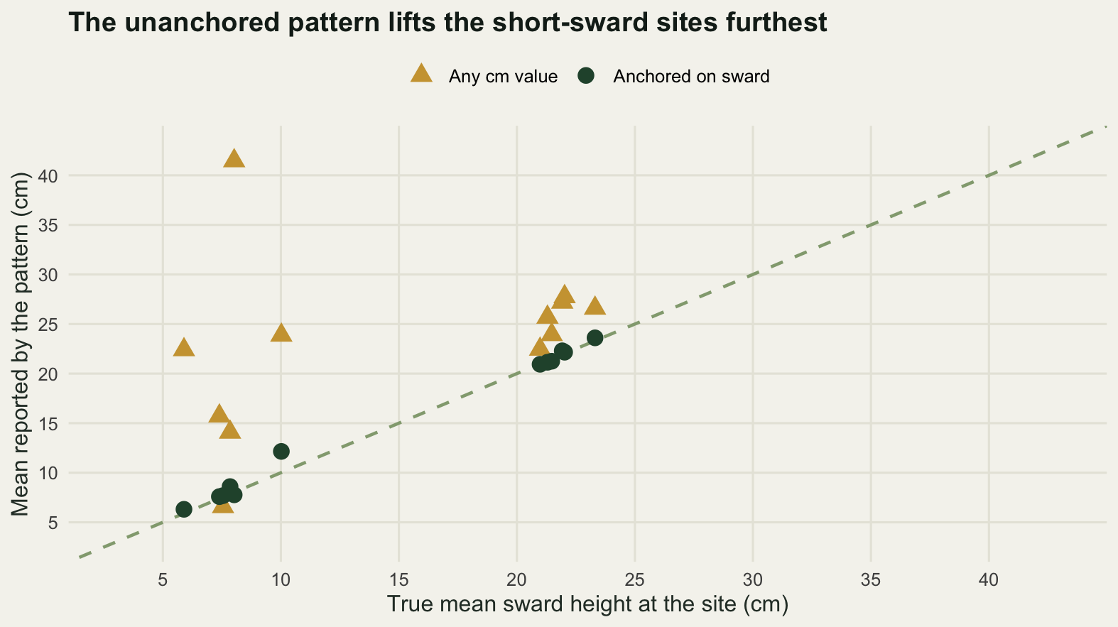 A scatter plot with the true site mean sward height on the horizontal axis and the reported mean on the vertical axis, both axes covering the same range, with a dashed one to one line. Twelve dark green points for the anchored pattern sit on or a little above the line and span six to twenty-four centimetres, the one furthest off being about two centimetres above the line at a true mean near ten centimetres. Eleven of the twelve gold points for the unanchored pattern lie above the line, and the gap above the line is far wider on the left of the plot than on the right, with one gold point as high as forty-one.