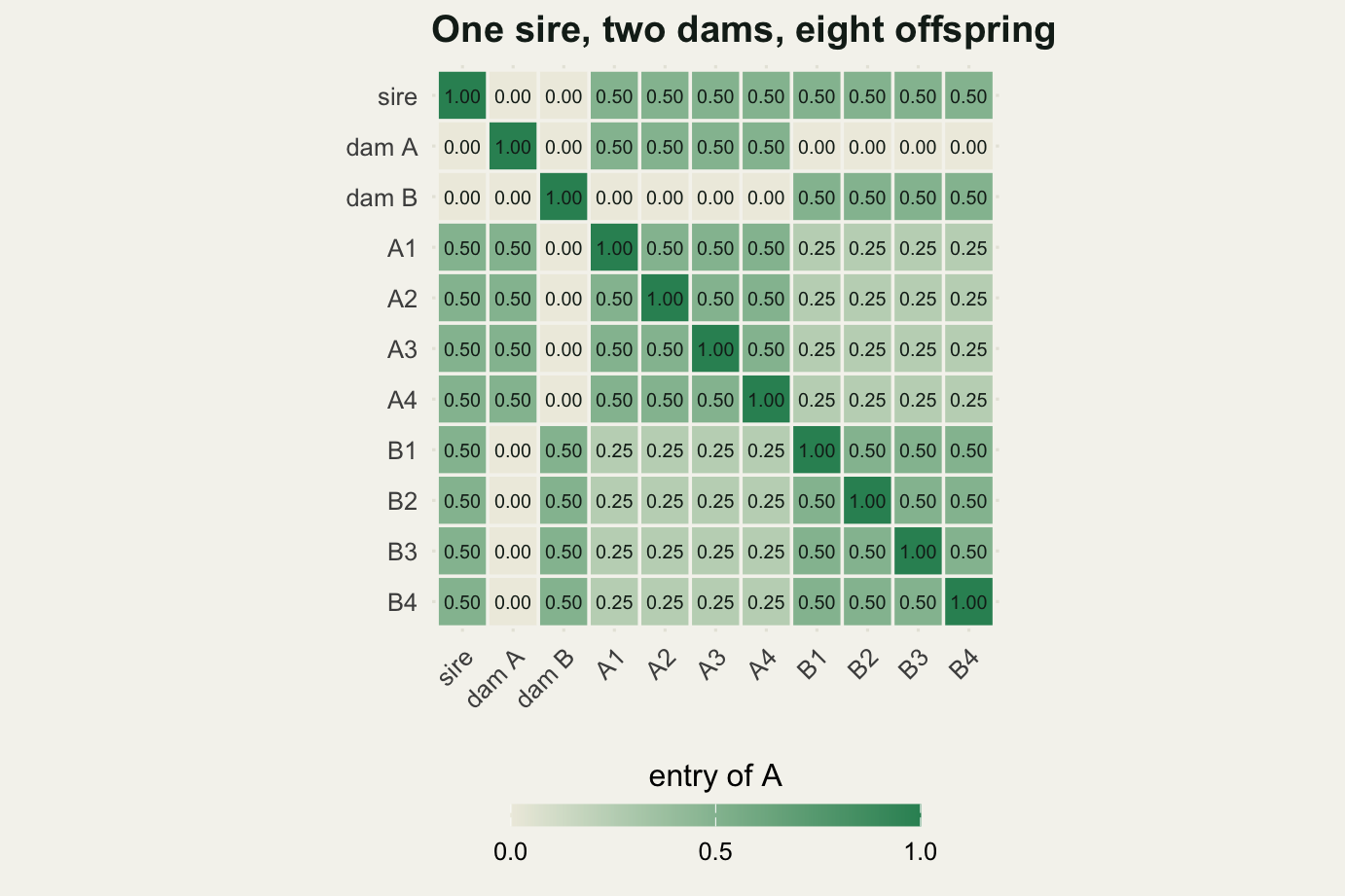 An eleven by eleven grid of squares. A dark diagonal of ones runs from top left to bottom right. The sire's row and column are 0.50 against all eight offspring but zero against both dams. Within each brood of four the squares are 0.50, and between the two broods they drop to 0.25. Dam A's row is 0.50 against her own four offspring and zero against the other brood.