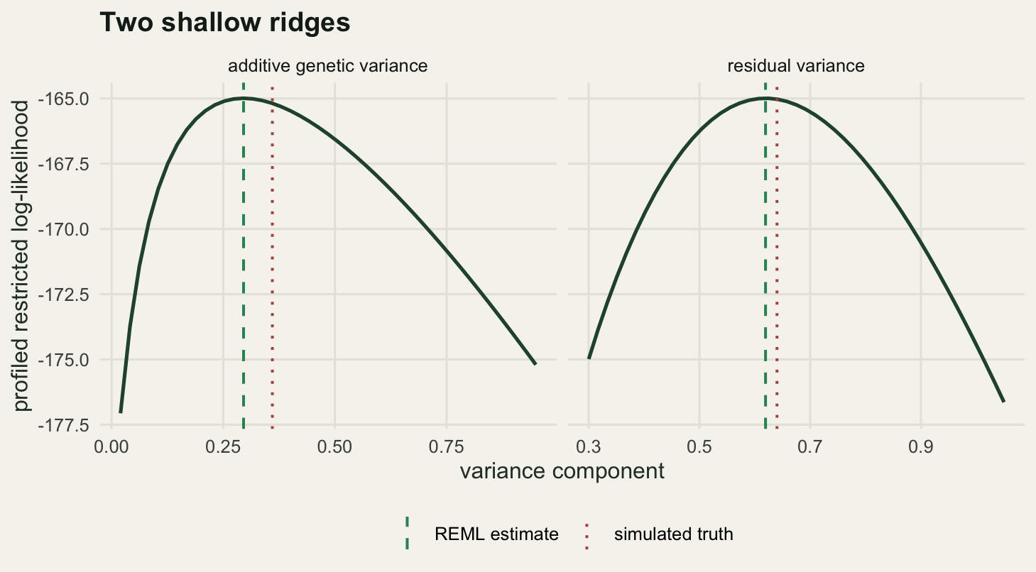 Two panels, each with a single dark green curve rising to a rounded peak and falling away. The left panel peaks in the lower third of its range and is markedly asymmetric, dropping steeply on the left and sliding gently on the right, so the top is broad and flat. The right panel peaks near the middle of its range and is close to symmetric. The horizontal scales differ between the panels, so the two humps cannot be compared by eye. In both panels the green dashed line and the clay dotted line sit close together near the peak.