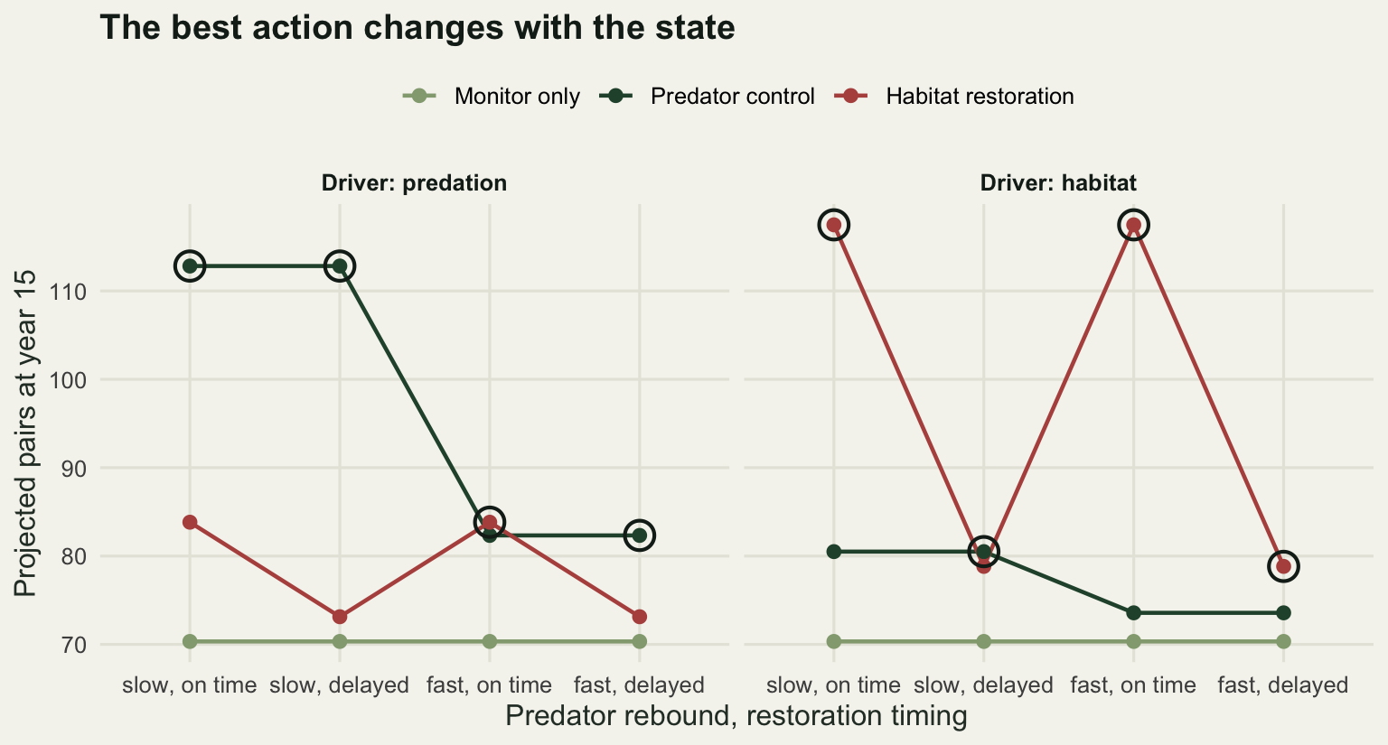 Two panels, one for each driver of the decline. Within each panel four state combinations run along the horizontal axis and three lines show the alternatives. Predator control is highest in the predation panel and restoration is highest in the habitat panel, while doing nothing is a flat line at seventy pairs. Open rings sit on whichever line is uppermost.