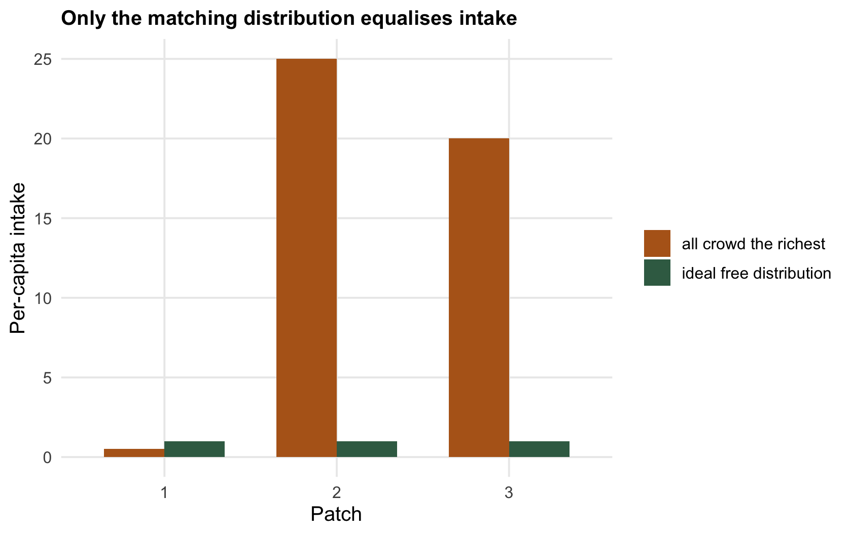 Grouped bars of per-capita intake per patch; under crowding the first patch is far lower than the others, under the ideal free distribution all three are equal.