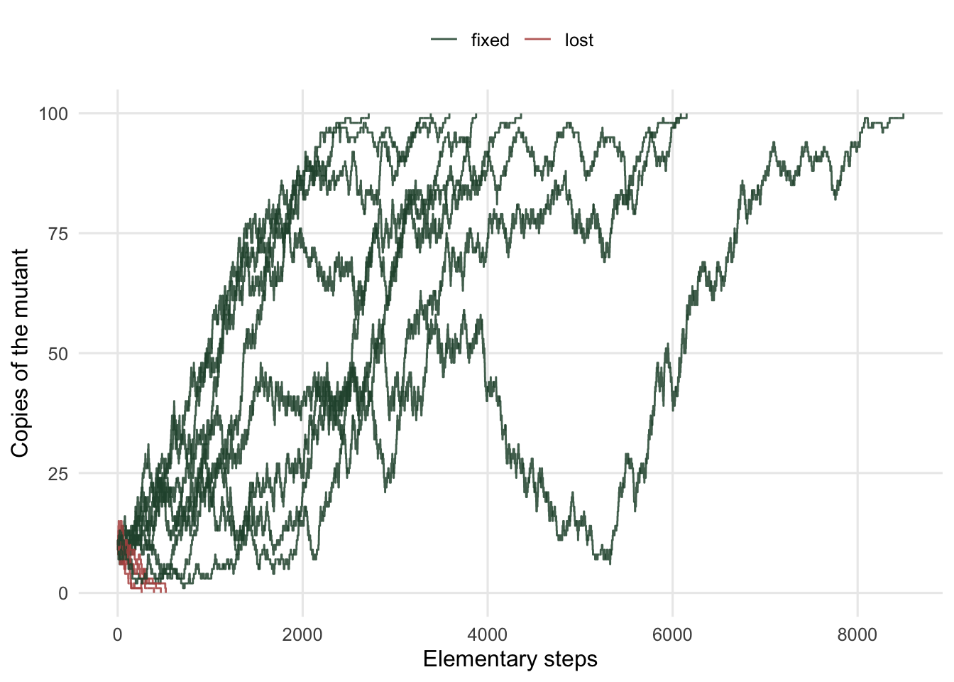 Twelve jagged random walk paths of mutant count against time; four fall to zero early while eight climb and reach the population size