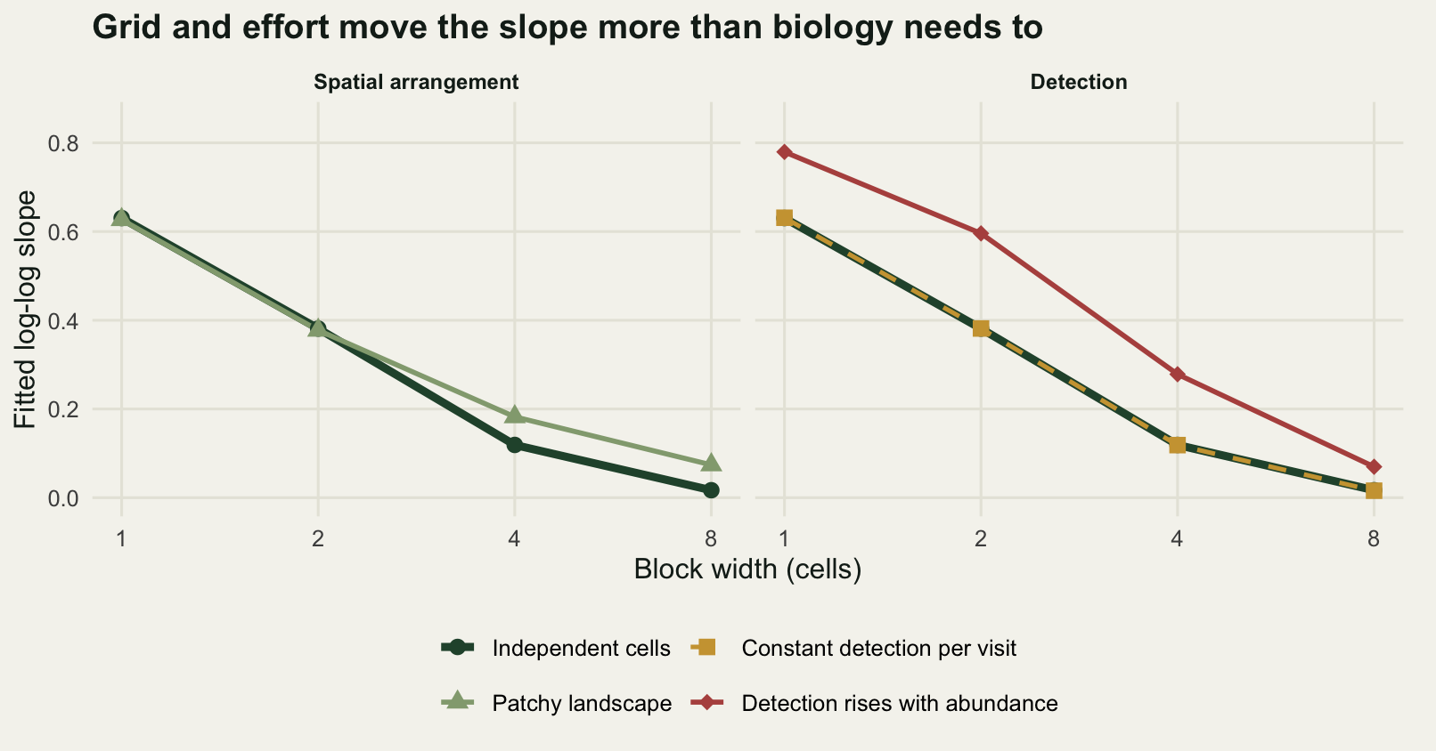 Two panels sharing a horizontal axis of block width in cells, marked at 1, 2, 4 and 8 on a log scale, and a vertical axis of fitted log-log slope from 0 to about 0.8. In the left panel a dark green line falls steeply from 0.63 at width 1 to almost 0 at width 8; a pale green line for the patchy landscape lies on top of it at widths 1 and 2, then lifts away and falls less far, ending near 0.07. In the right panel the same dark green reference line is repeated, a gold dashed line for constant detection runs along it and the two coincide at every point, so the gold shows only as dashes on the dark green, and a dark red line for abundance dependent detection lies above both, starting at 0.78 and closing on them by width 8.