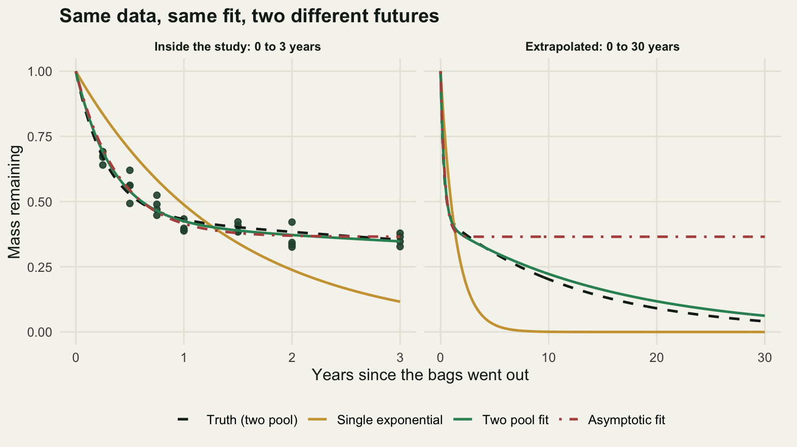 Two panels sharing a vertical axis of mass remaining from zero to one. In the left panel, covering zero to three years, twenty-eight dark forest green points fall from about 0.7 at three months to about 0.35 at three years, drawn darker than any of the curves so the data reads first, and three fitted curves pass through them; the two-pool curve drawn solid in mid green and the asymptotic curve drawn dot-dash in red-brown lie on top of each other for the whole panel, while the gold single exponential curve runs above the points for the first year and a quarter, crosses them, and then falls away below them, ending well under the last harvest. In the right panel, covering zero to thirty years, all four curves plunge together inside the first two years at the left edge; after that the asymptotic curve levels off flat at about 0.37 while the dashed truth and the green two-pool curve continue to decline, reaching about 0.04 and 0.06 at thirty years, and the single exponential curve has fallen onto the horizontal axis within the first decade.