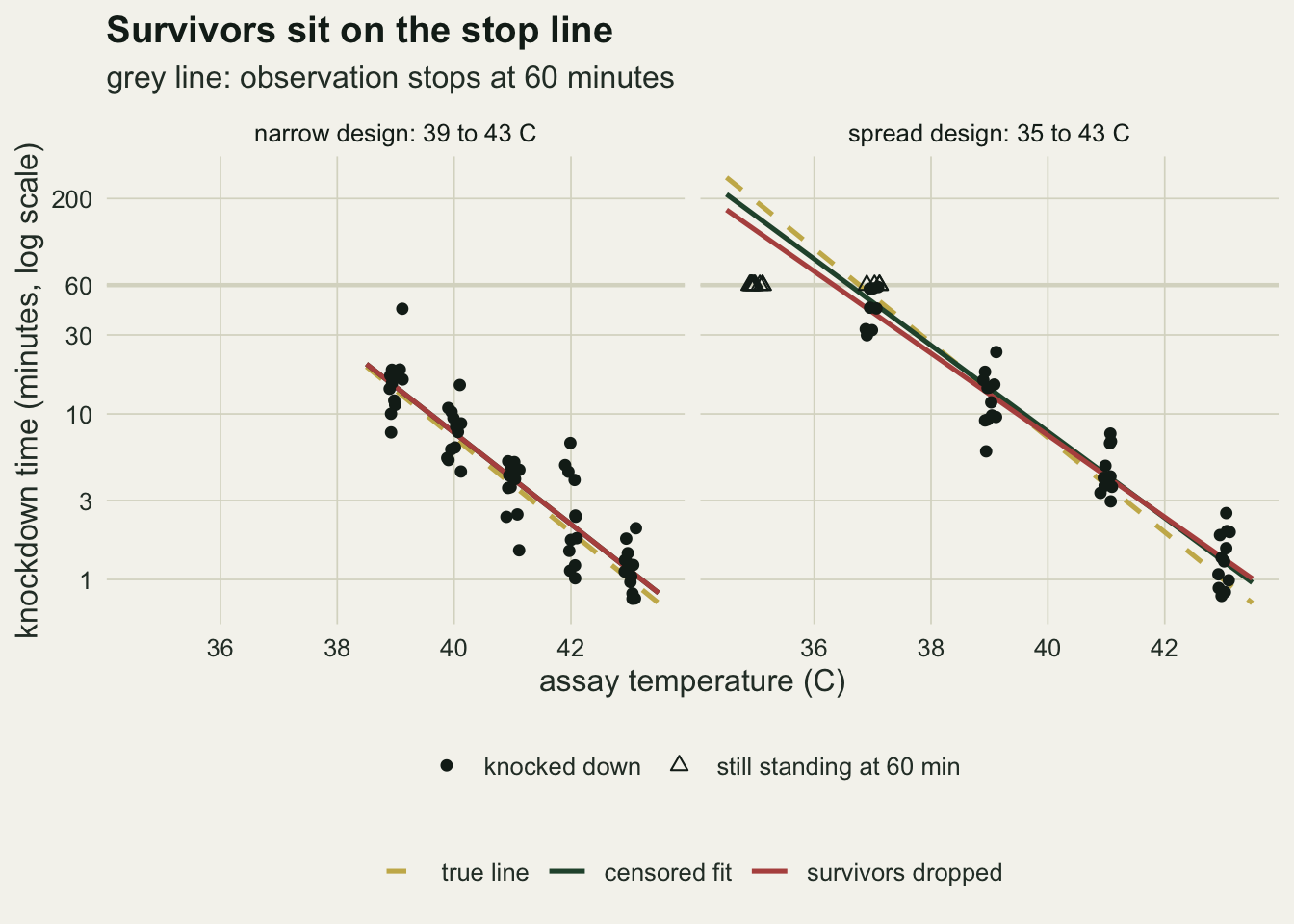 Two panels on warm off-white paper, the narrow design 39 to 43 C on the left and the spread design 35 to 43 C on the right, with knockdown time in minutes on a log axis from under 1 to about 300 against assay temperature, and a grey horizontal line at 60 minutes. In the left panel dark dots at 39 to 43 C fall from about 15 minutes to about 1 minute, all below the grey line, with one dot near 45 minutes; a gold dashed true line and a red fitted line run through them, the red line covering the green censored fit because no animal was censored. In the right panel dots at 37 to 43 C fall from about 30 minutes to about 1 minute, and open triangles sit on the grey line at 35 C and at 37 C. Above 38 C the three lines run close together; toward 35 C the gold dashed true line is highest, the green censored fit a little below it and the red line that drops the survivors lowest.