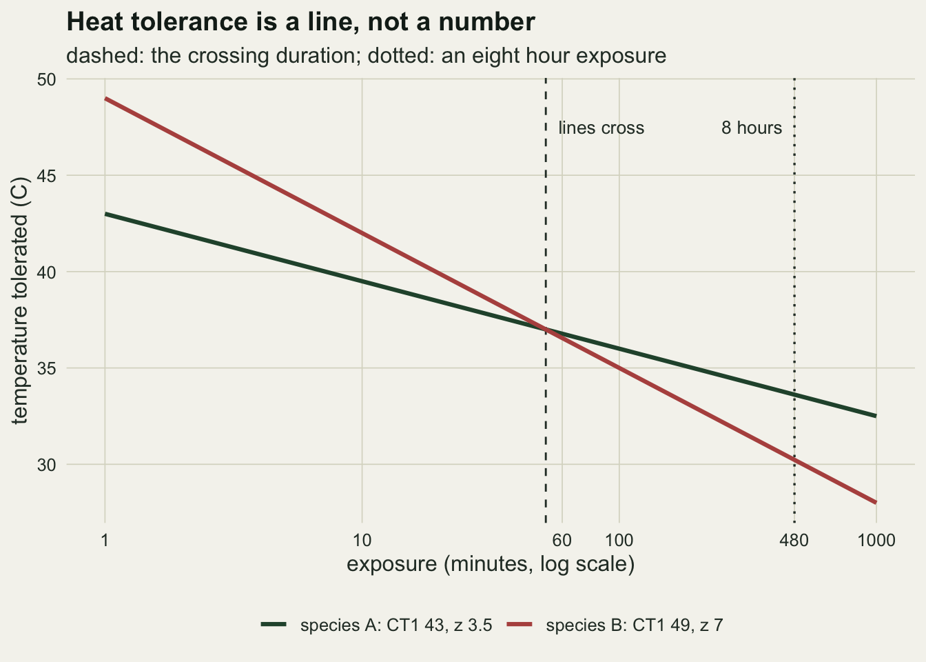 Two straight falling lines on warm off-white paper against exposure time on a log axis from 1 to 1000 minutes, with the temperature tolerated on the vertical axis from about 28 to 50 C. A red line for species B falls steeply from 49 at one minute to about 28 at a thousand minutes; a dark green line for species A falls gently from 43 to about 32.5. They cross near 52 minutes at 37 C, where a dashed vertical line is labelled lines cross. A dotted vertical line labelled 8 hours stands at 480 minutes, where the green line sits near 33.6 and the red line near 30.2.