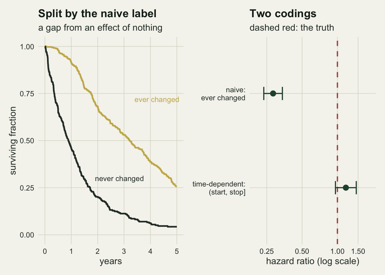 Two panels. The left panel shows two Kaplan-Meier curves by the ever changed label: a gold curve for the animals labelled as changed falls gently and is near a quarter at five years, while a dark curve for the rest falls steeply and is near zero by year four. The right panel shows two horizontal hazard ratio intervals on a log scale, the naive one near 0.28 far to the left of the dashed red line at one, the time-dependent one straddling that line.