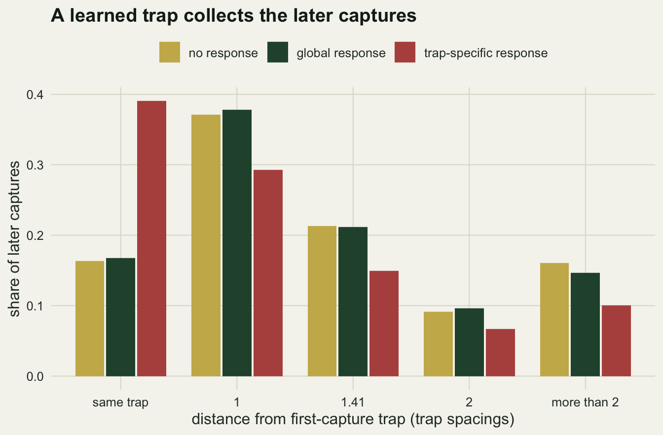 A grouped column chart on warm off-white paper headed A learned trap collects the later captures. The horizontal axis has five classes of distance from the first-capture trap: same trap, 1, 1.41, 2 and more than 2 trap spacings; the vertical axis is the share of later captures from 0 to 0.4. Gold columns for no response and dark green columns for a global response are nearly the same height in every class, about 0.16 at the same trap, 0.37 at one spacing, 0.21 at 1.41, 0.09 at 2 and 0.15 to 0.16 beyond. Red columns for the trap-specific response reach 0.39 at the same trap and are lower than the other two in every other class, at about 0.29, 0.15, 0.07 and 0.10.
