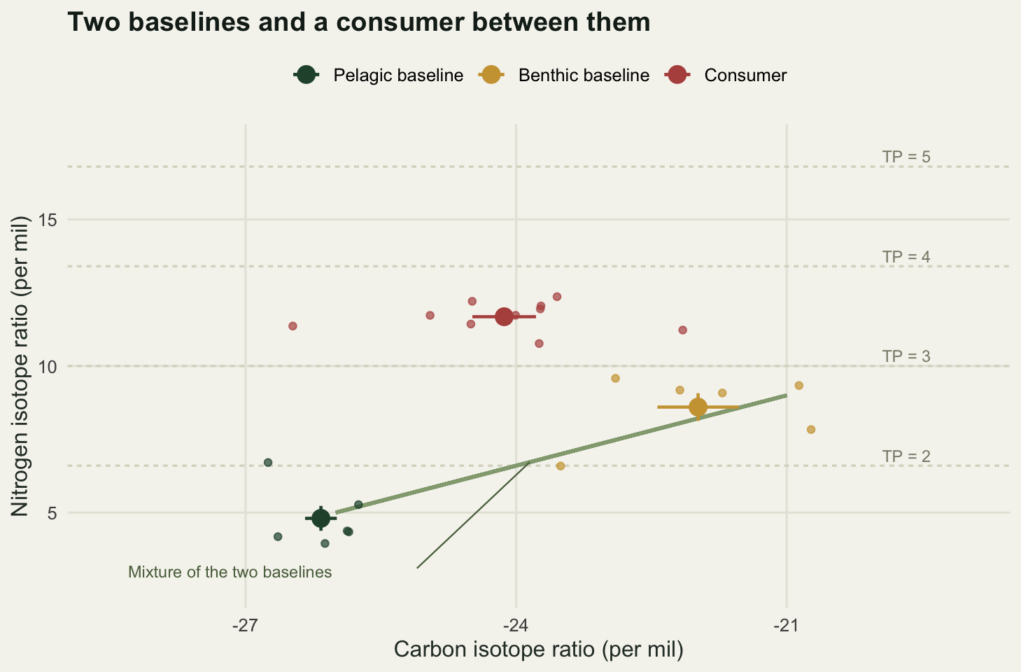 A scatter plot of nitrogen against carbon isotope ratios. Two baseline groups sit at the bottom, one at light carbon and one at heavy carbon and higher nitrogen, joined by a straight green line that is labelled along the bottom of the panel as every mixture of the two baselines. A cluster of consumer individuals sits above and between them. Four horizontal dashed lines cross the panel, labelled with trophic positions two to five, and the consumer cluster falls midway between the third and fourth.