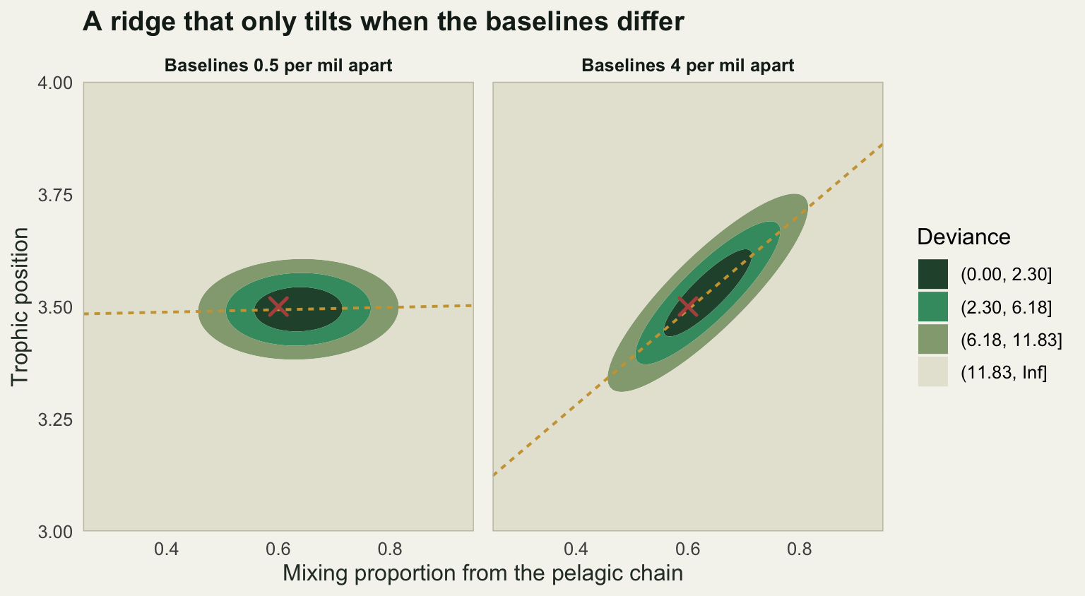 Two contour panels with mixing proportion on the horizontal axis and trophic position on the vertical. With baselines half a per mil apart the contours form a wide flat ellipse and the dashed line is almost horizontal. With baselines four per mil apart the contours tilt into a diagonal ridge and the dashed line climbs steeply from left to right.