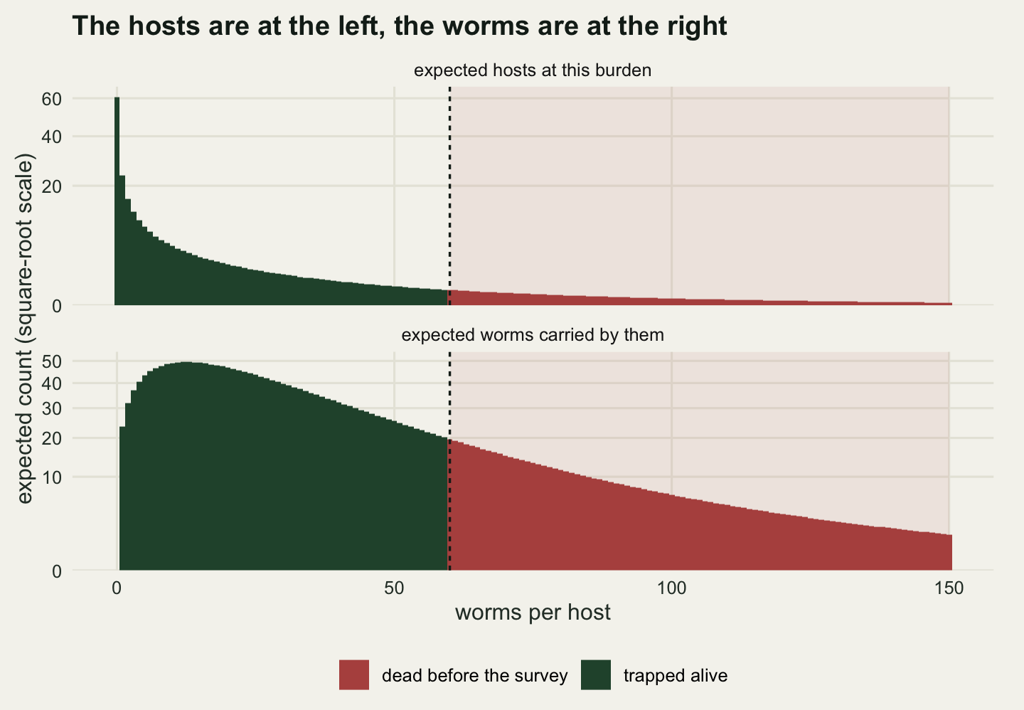 Two stacked panels sharing a horizontal axis of worms per host running from zero to one hundred and fifty. The upper panel is a bar chart of expected hosts that starts at about sixty bars high at zero and falls away steeply, so that past thirty the bars are barely off the axis. The lower panel is a bar chart of expected worms carried; it rises steeply from zero to a broad peak near ten worms and then declines slowly, still well above the axis at one hundred and fifty. A dashed vertical line at sixty crosses both panels and everything to its right is shaded pale red.