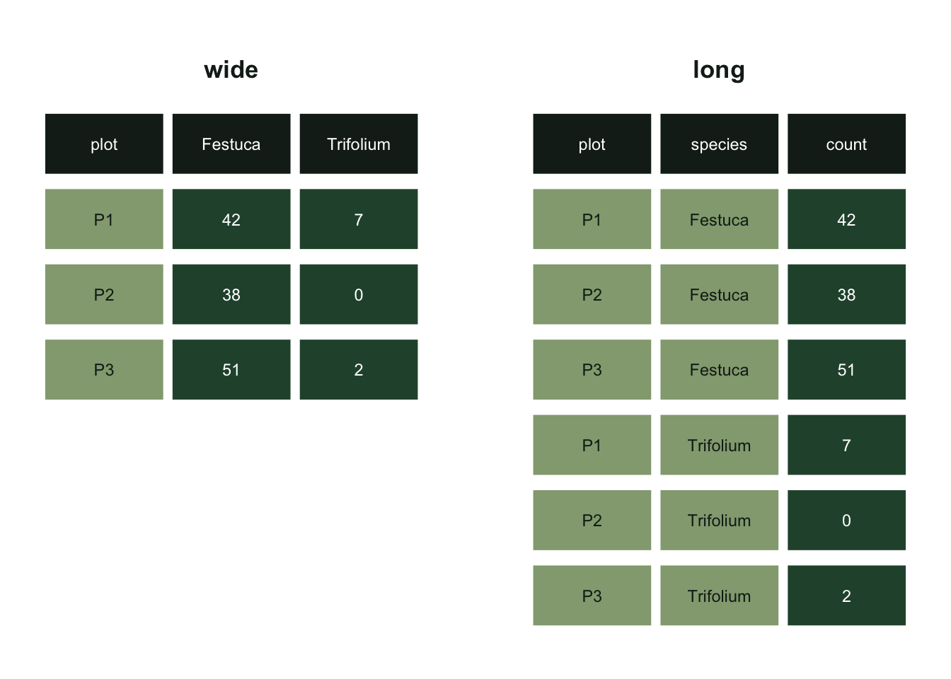 Two tables drawn as grids of coloured cells. On the left a wide table of three quadrat rows with columns for Festuca and Trifolium. On the right a long table of six rows, each carrying a plot label, a species name and one count. Both hold the same six green count cells.