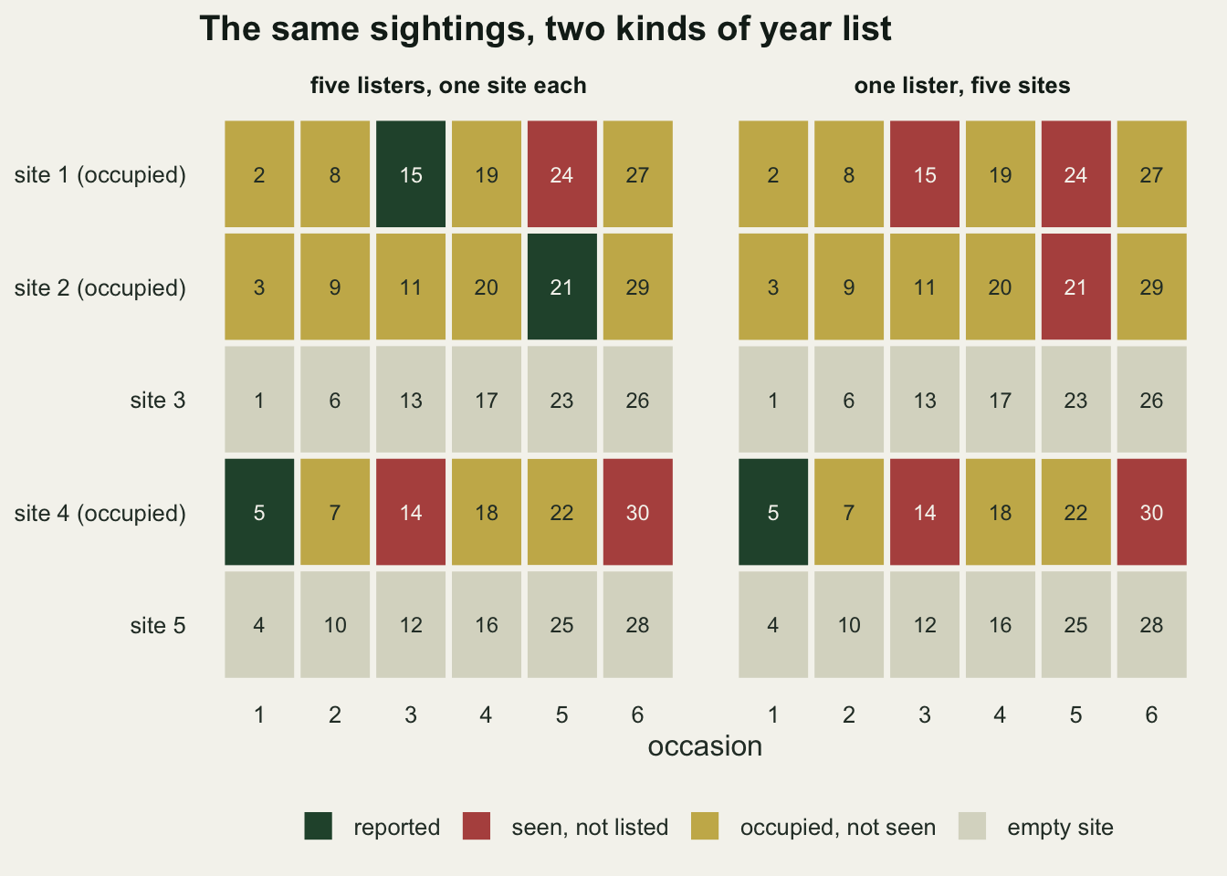 Two grids of coloured tiles, five site rows by six occasions, each tile numbered with its place in the order of the 30 visits in the patch. Sites 1, 2 and 4 are occupied and their unseen visits are gold; sites 3 and 5 are empty and pale grey. Left, five listers with one site each: dark green reported tiles at site 1 visit 15, site 2 visit 21 and site 4 visit 5, and red seen-but-not-listed tiles at site 1 visit 24 and site 4 visits 14 and 30. Right, one lister for all five sites: only site 4 visit 5 is dark green, and site 1 visits 15 and 24, site 2 visit 21 and site 4 visits 14 and 30 are red, so sites 1 and 2 end with no report.